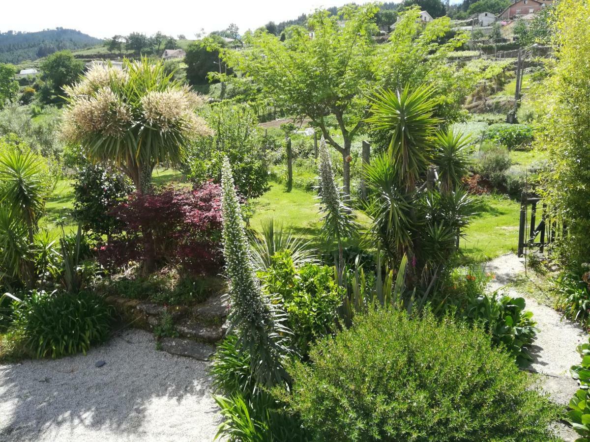 O Curralino Guest House Vilacoba Exterior photo